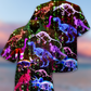 Dinosaur Neon The Sparkling X-Ray - Hawaiian Shirt - Reefox